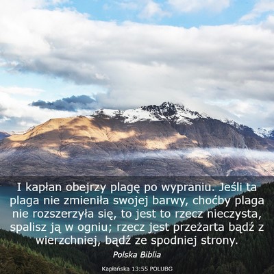 Picture 03 - Kapłańska 13:55 POLUBG - I kapłan obejrzy plagę po wypraniu. Jeśli ta - Bible Verse Picture