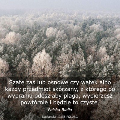 Picture 03 - Kapłańska 13:58 POLUBG - Szatę zaś lub osnowę czy wątek albo każdy - Bible Verse Picture