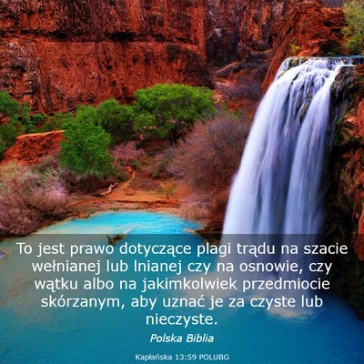 Picture 03 - Kapłańska 13:59 POLUBG - To jest prawo dotyczące plagi trądu na szacie - Bible Verse Picture