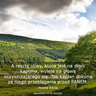 Picture 03 - Kapłańska 14:18 POLUBG - A resztę oliwy, która jest na dłoni kapłana, - Bible Verse Picture