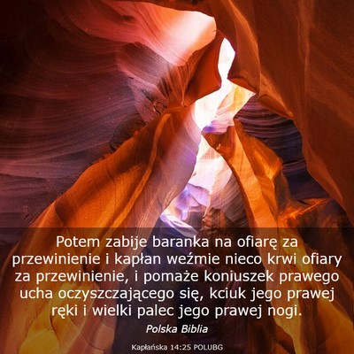 Picture 03 - Kapłańska 14:25 POLUBG - Potem zabije baranka na ofiarę za przewinienie i - Bible Verse Picture