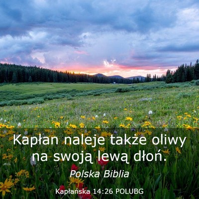 Picture 03 - Kapłańska 14:26 POLUBG - Kapłan naleje także oliwy na swoją lewą - Bible Verse Picture