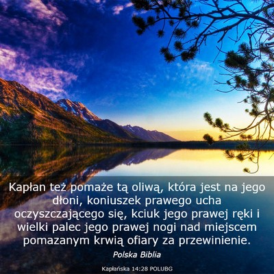Picture 03 - Kapłańska 14:28 POLUBG - Kapłan też pomaże tą oliwą, która jest na - Bible Verse Picture