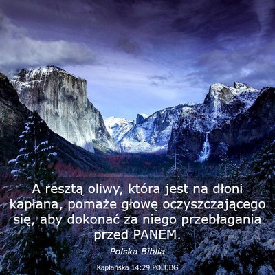 Picture 03 - Kapłańska 14:29 POLUBG - A resztą oliwy, która jest na dłoni kapłana, - Bible Verse Picture