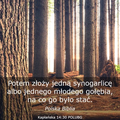 Picture 03 - Kapłańska 14:30 POLUBG - Potem złoży jedną synogarlicę albo jednego - Bible Verse Picture