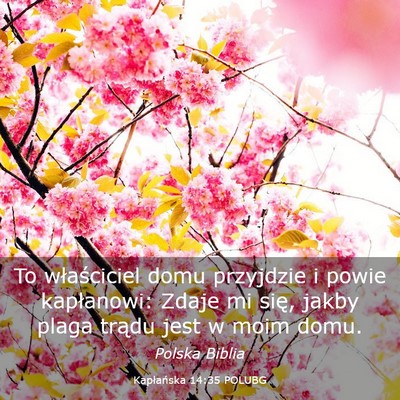 Picture 03 - Kapłańska 14:35 POLUBG - To właściciel domu przyjdzie i powie - Bible Verse Picture
