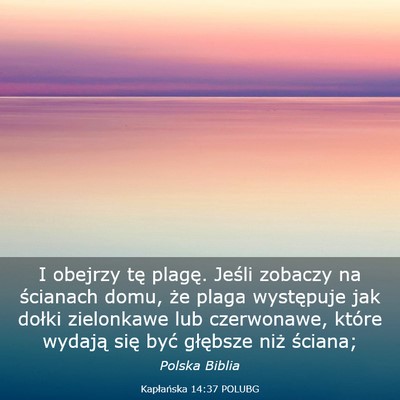 Picture 03 - Kapłańska 14:37 POLUBG - I obejrzy tę plagę. Jeśli zobaczy na ścianach - Bible Verse Picture