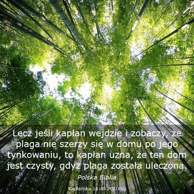 Picture 03 - Kapłańska 14:48 POLUBG - Lecz jeśli kapłan wejdzie i zobaczy, że plaga - Bible Verse Picture