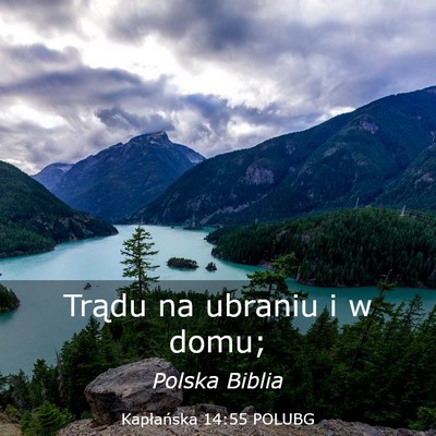 Picture 03 - Kapłańska 14:55 POLUBG - Trądu na ubraniu i w - Bible Verse Picture