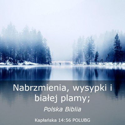 Picture 03 - Kapłańska 14:56 POLUBG - Nabrzmienia, wysypki i białej - Bible Verse Picture