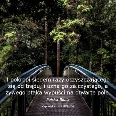 Picture 03 - Kapłańska 14:7 POLUBG - I pokropi siedem razy oczyszczającego się od - Bible Verse Picture