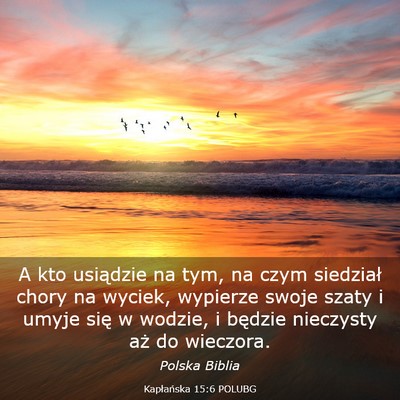 Picture 03 - Kapłańska 15:6 POLUBG - A kto usiądzie na tym, na czym siedział chory - Bible Verse Picture