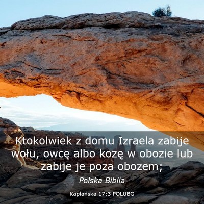 Picture 03 - Kapłańska 17:3 POLUBG - Ktokolwiek z domu Izraela zabije wołu, owcę - Bible Verse Picture