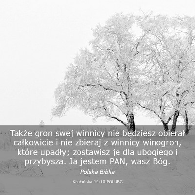 Picture 03 - Kapłańska 19:10 POLUBG - Także gron swej winnicy nie będziesz obierał - Bible Verse Picture