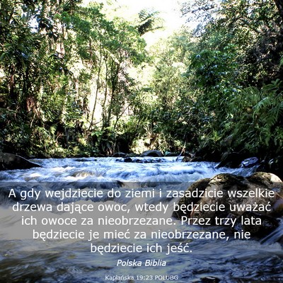 Picture 03 - Kapłańska 19:23 POLUBG - A gdy wejdziecie do ziemi i zasadzicie wszelkie - Bible Verse Picture