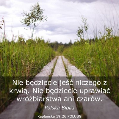Picture 03 - Kapłańska 19:26 POLUBG - Nie będziecie jeść niczego z krwią. Nie - Bible Verse Picture