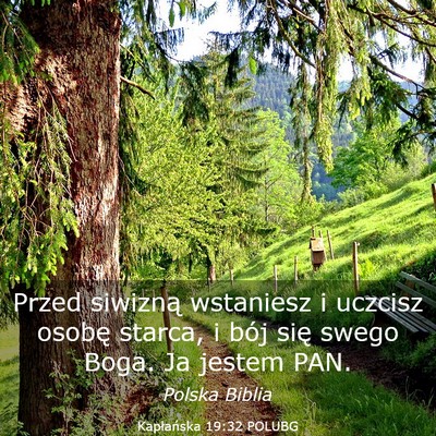 Picture 03 - Kapłańska 19:32 POLUBG - Przed siwizną wstaniesz i uczcisz osobę starca, - Bible Verse Picture