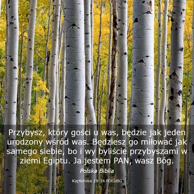 Picture 03 - Kapłańska 19:34 POLUBG - Przybysz, który gości u was, będzie jak jeden - Bible Verse Picture