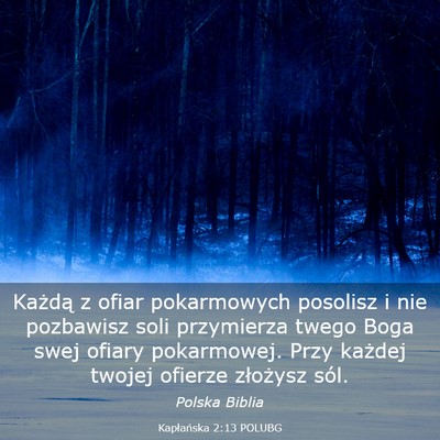Picture 03 - Kapłańska 2:13 POLUBG - Każdą z ofiar pokarmowych posolisz i nie - Bible Verse Picture