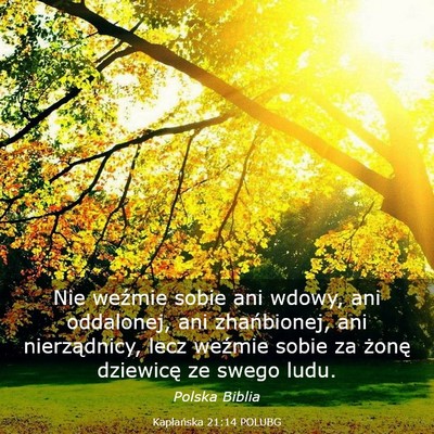 Picture 03 - Kapłańska 21:14 POLUBG - Nie weźmie sobie ani wdowy, ani oddalonej, ani - Bible Verse Picture