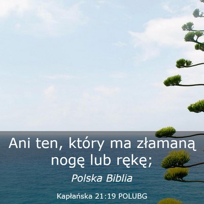 Picture 03 - Kapłańska 21:19 POLUBG - Ani ten, który ma złamaną nogę lub - Bible Verse Picture