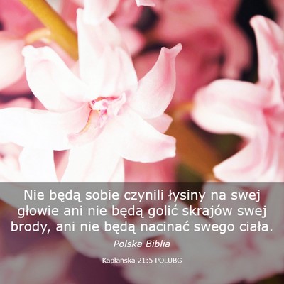 Picture 03 - Kapłańska 21:5 POLUBG - Nie będą sobie czynili łysiny na swej głowie - Bible Verse Picture