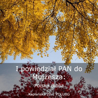 Picture 03 - Kapłańska 22:1 POLUBG - I powiedział PAN do - Bible Verse Picture