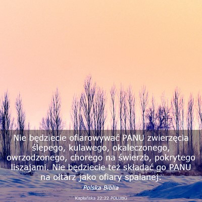 Picture 03 - Kapłańska 22:22 POLUBG - Nie będziecie ofiarowywać PANU zwierzęcia - Bible Verse Picture