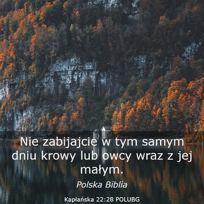 Picture 03 - Kapłańska 22:28 POLUBG - Nie zabijajcie w tym samym dniu krowy lub owcy - Bible Verse Picture