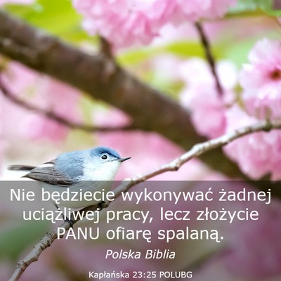 Picture 03 - Kapłańska 23:25 POLUBG - Nie będziecie wykonywać żadnej uciążliwej - Bible Verse Picture