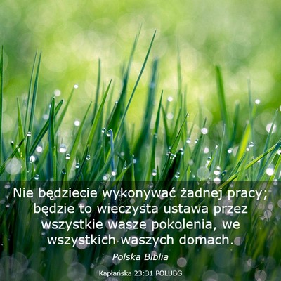 Picture 03 - Kapłańska 23:31 POLUBG - Nie będziecie wykonywać żadnej pracy; będzie - Bible Verse Picture