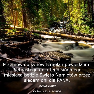 Picture 03 - Kapłańska 23:34 POLUBG - Przemów do synów Izraela i powiedz im: - Bible Verse Picture