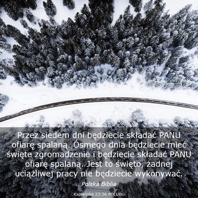 Picture 03 - Kapłańska 23:36 POLUBG - Przez siedem dni będziecie składać PANU - Bible Verse Picture