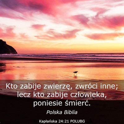 Picture 03 - Kapłańska 24:21 POLUBG - Kto zabije zwierzę, zwróci inne; lecz kto - Bible Verse Picture