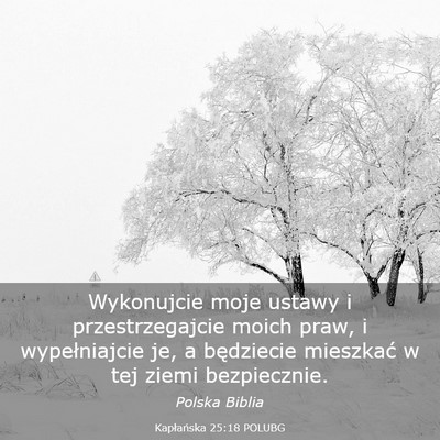 Picture 03 - Kapłańska 25:18 POLUBG - Wykonujcie moje ustawy i przestrzegajcie moich - Bible Verse Picture