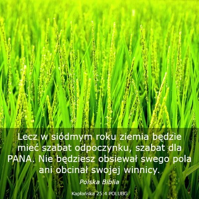 Picture 03 - Kapłańska 25:4 POLUBG - Lecz w siódmym roku ziemia będzie mieć szabat - Bible Verse Picture