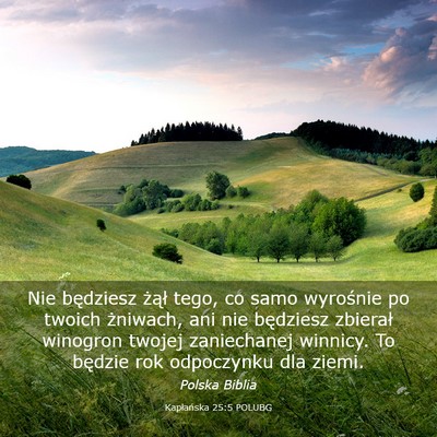 Picture 03 - Kapłańska 25:5 POLUBG - Nie będziesz żął tego, co samo wyrośnie po - Bible Verse Picture