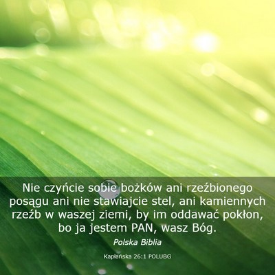 Picture 03 - Kapłańska 26:1 POLUBG - Nie czyńcie sobie bożków ani rzeźbionego - Bible Verse Picture