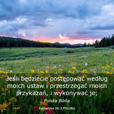Picture 03 - Kapłańska 26:3 POLUBG - Jeśli będziecie postępować według moich - Bible Verse Picture