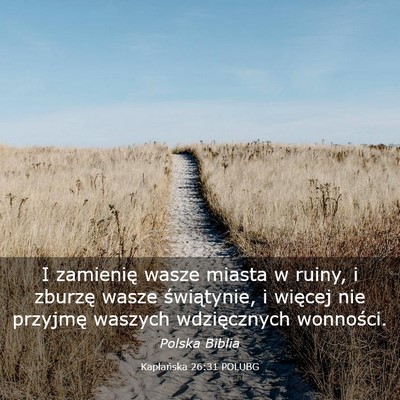 Picture 03 - Kapłańska 26:31 POLUBG - I zamienię wasze miasta w ruiny, i zburzę wasze - Bible Verse Picture