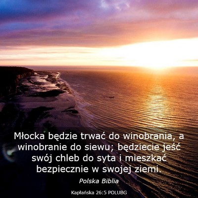 Picture 03 - Kapłańska 26:5 POLUBG - Młocka będzie trwać do winobrania, a - Bible Verse Picture
