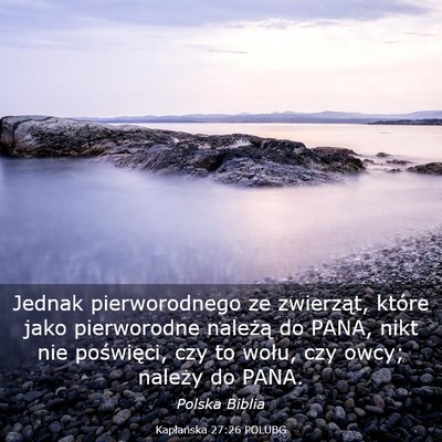Picture 03 - Kapłańska 27:26 POLUBG - Jednak pierworodnego ze zwierząt, które jako - Bible Verse Picture