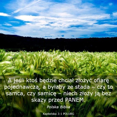 Picture 03 - Kapłańska 3:1 POLUBG - A jeśli ktoś będzie chciał złożyć ofiarę - Bible Verse Picture