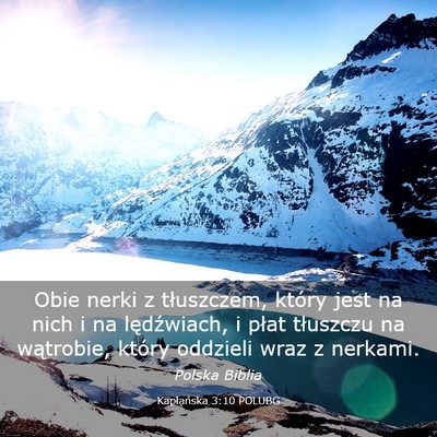 Picture 03 - Kapłańska 3:10 POLUBG - Obie nerki z tłuszczem, który jest na nich i na - Bible Verse Picture