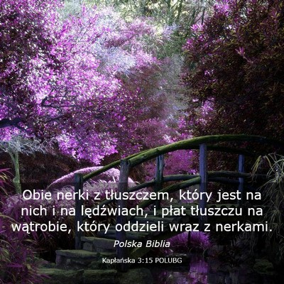 Picture 03 - Kapłańska 3:15 POLUBG - Obie nerki z tłuszczem, który jest na nich i na - Bible Verse Picture
