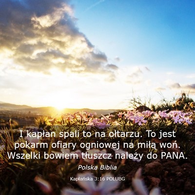 Picture 03 - Kapłańska 3:16 POLUBG - I kapłan spali to na ołtarzu. To jest pokarm - Bible Verse Picture