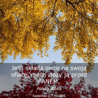 Picture 03 - Kapłańska 3:7 POLUBG - Jeśli składa owcę na swoją ofiarę, niech - Bible Verse Picture