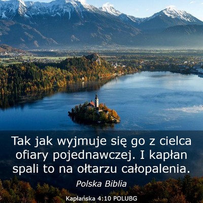 Picture 03 - Kapłańska 4:10 POLUBG - Tak jak wyjmuje się go z cielca ofiary - Bible Verse Picture