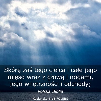 Picture 03 - Kapłańska 4:11 POLUBG - Skórę zaś tego cielca i całe jego mięso wraz - Bible Verse Picture