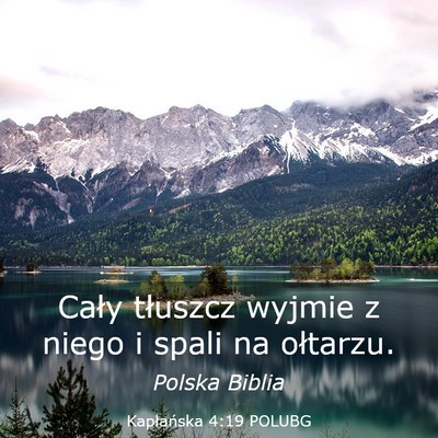 Picture 03 - Kapłańska 4:19 POLUBG - Cały tłuszcz wyjmie z niego i spali na - Bible Verse Picture